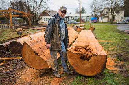 a man stands next to a massive cedar log he sawed in half