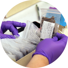 gloved hands look through small bags filled with artifacts