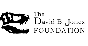 The David B. Jones Foundation