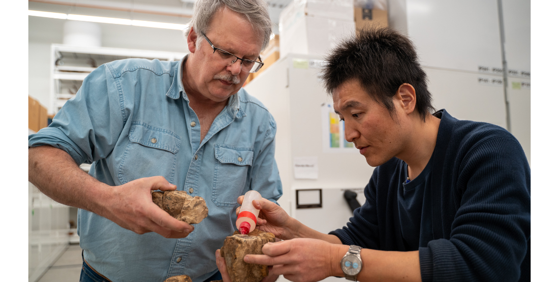 Two people stand sie by side with a pieces of fossil between them. The man on the right squeezed glue onto the fossil out of a red bottle onto one of the fossils.