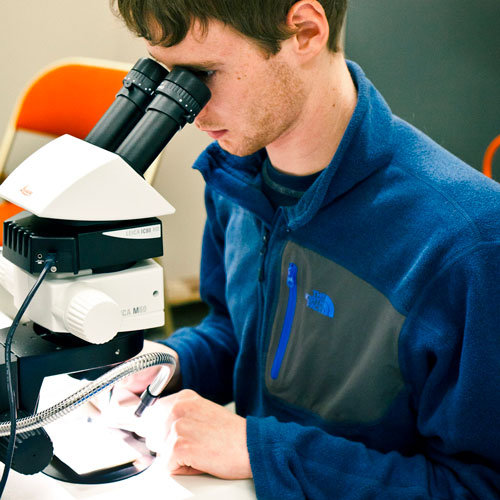 a young man looks through a microscope