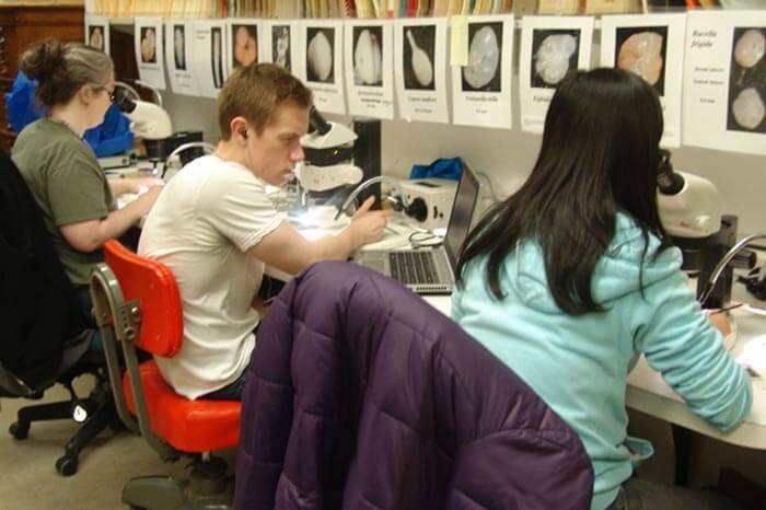 three students sick in chairs and look at forams through microscopes