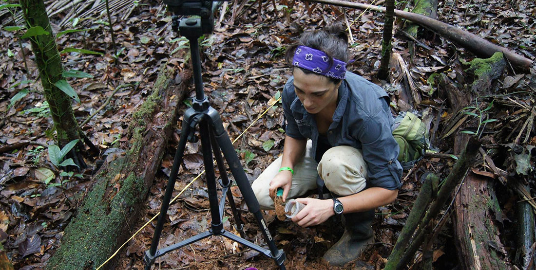 a young woman kneels in a forest blanketed in fallen leaves and collects soil samples