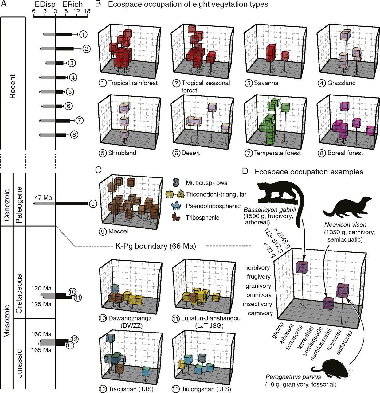 diagrams of the method the team used