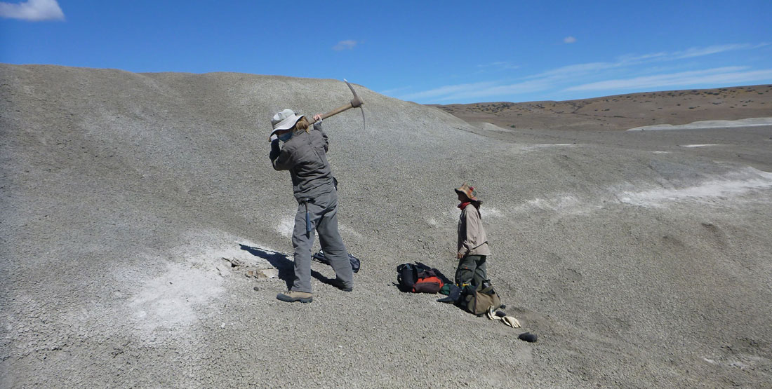 two women in the vast desert digging for fossils, one has a pickaxe over her head mid-swing