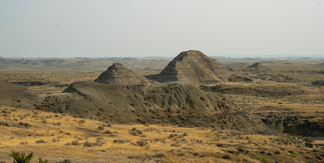A landscape view of the Hell Creek Formation - a dry and rocky place