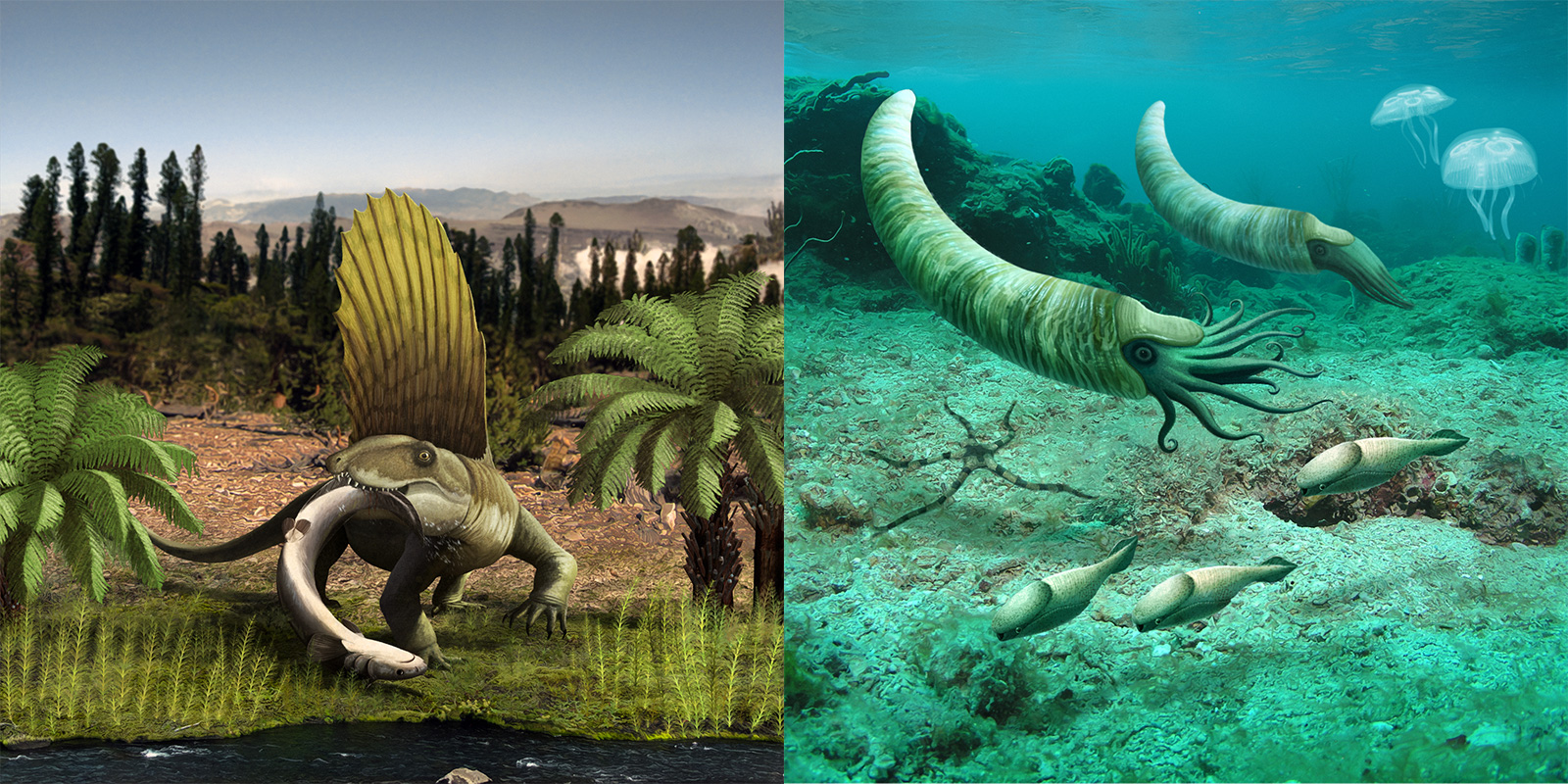 Two paleoillustrations showing extinct terrestrial and marine animals in their environments.