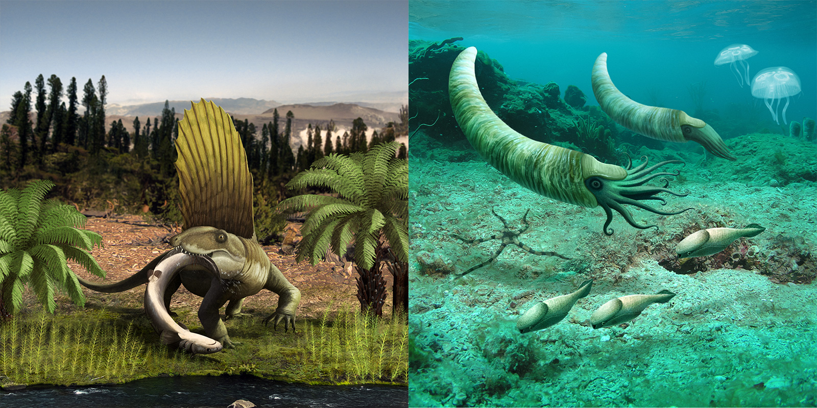 Bringing fossils to life through paleoart | Burke Museum