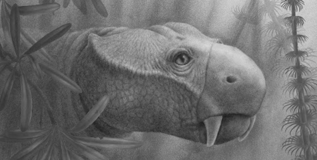 A drawing of a prehistoric creature with large teeth