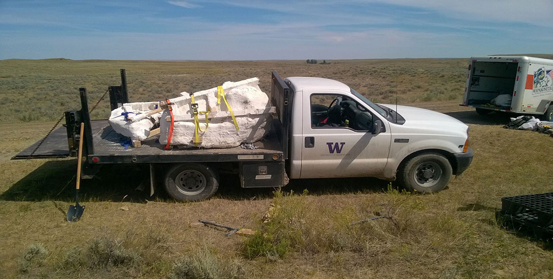 The skull jacket and rib jacket are loaded on the backend of a flatbed truck