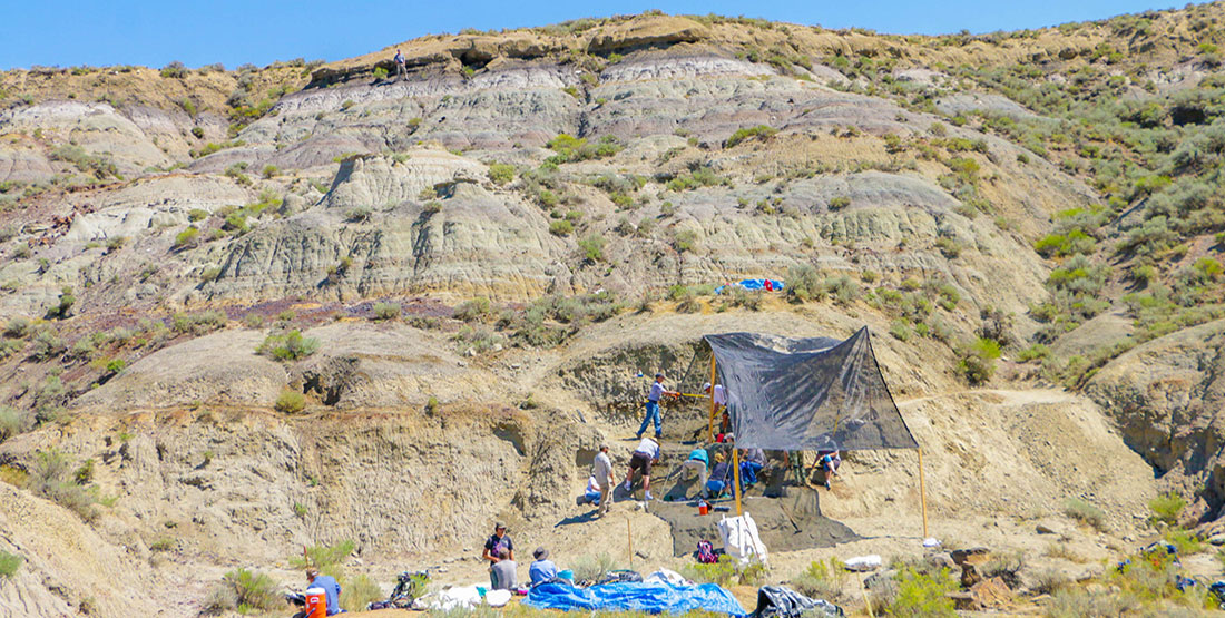 The hillside and terrain at the T. rex dig site