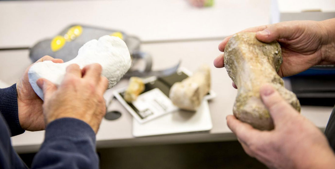 two people hold up a 3d printed bone to compare it to the real bone