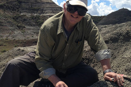 A man stands next to a triceratops specimen sticking out of the rock