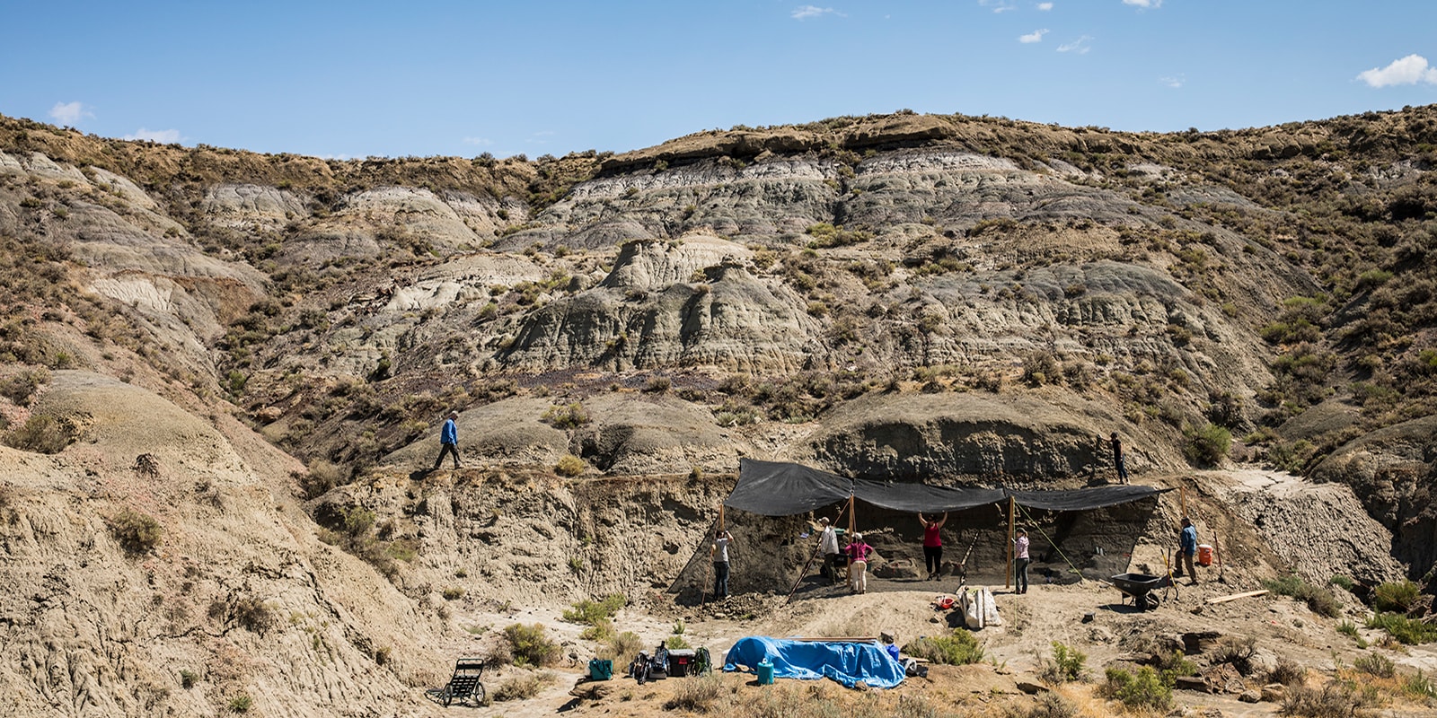 A wide view of a canopy within the desert sheltering a t.rex dig site from the sun