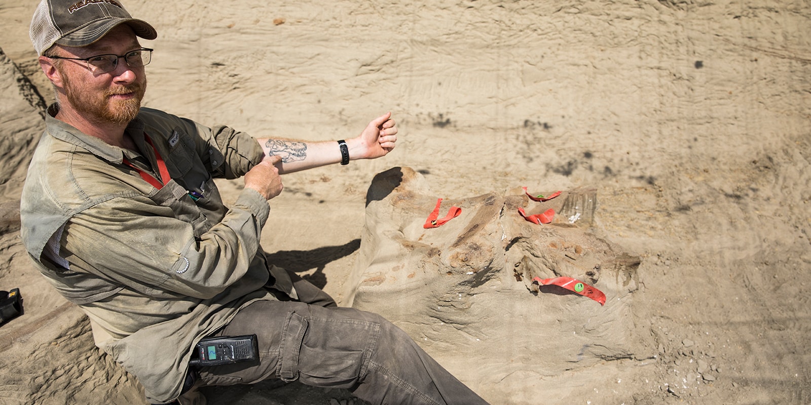 A man holding out his arm to show a t.rex skull tatoo that looks like the t. rex skull they are digging up from the ground