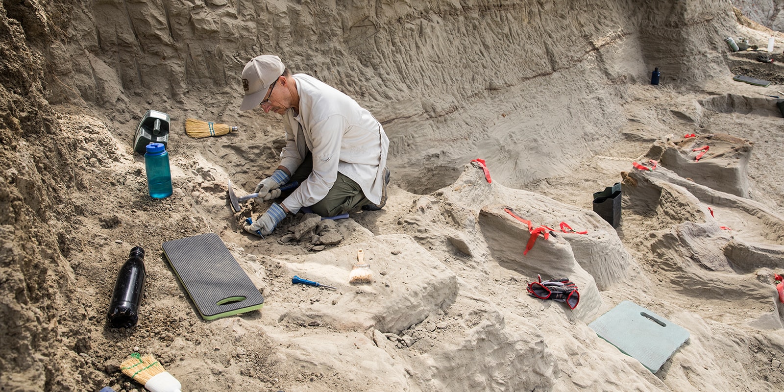 A man using a pickaxe to chip away dirt on a paleontology dig site