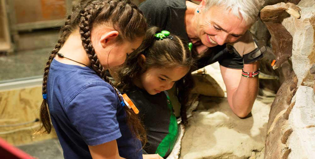 A t.rex preparator and two young girls look at a t.rex skull