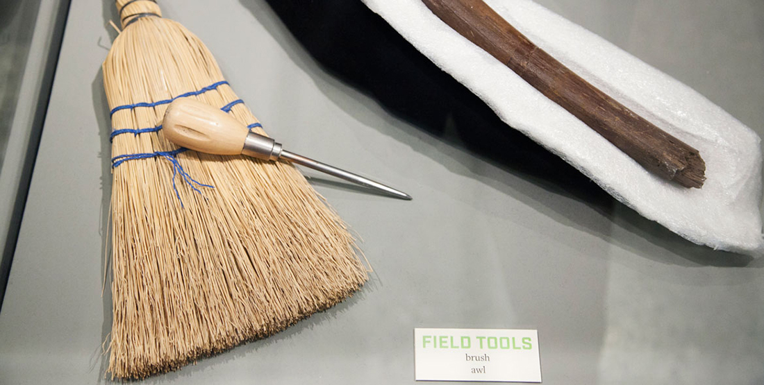 A broom and screwdriver used as hand tools to excavate the T. rex skull