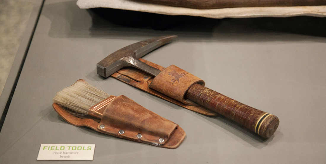 A brush and pickaxe used as hand tools to excavate the T. rex skull