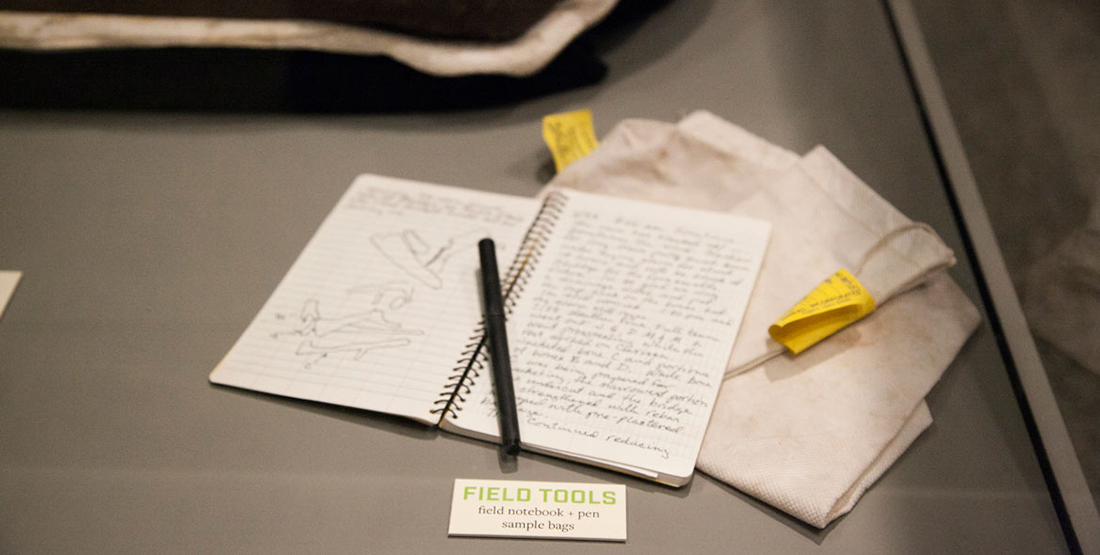 A field notebook and pen used while excavating the T. rex skull