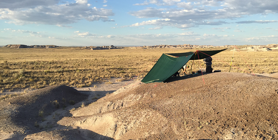 A vast landscape in the desert with a makeshift tent set up over the field site