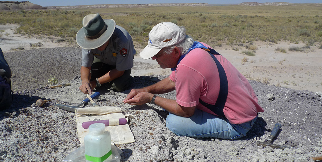 Two men kneel on a rock outcrop and use small tools to remove rock and dirt away from fossils in the ground