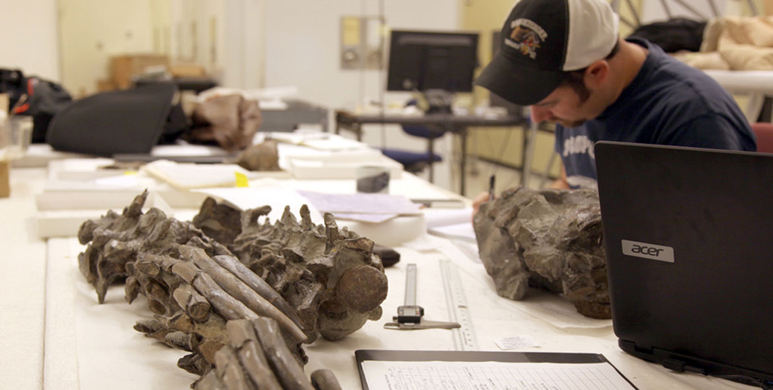 young man writing notes with fossils in the foreground on a table