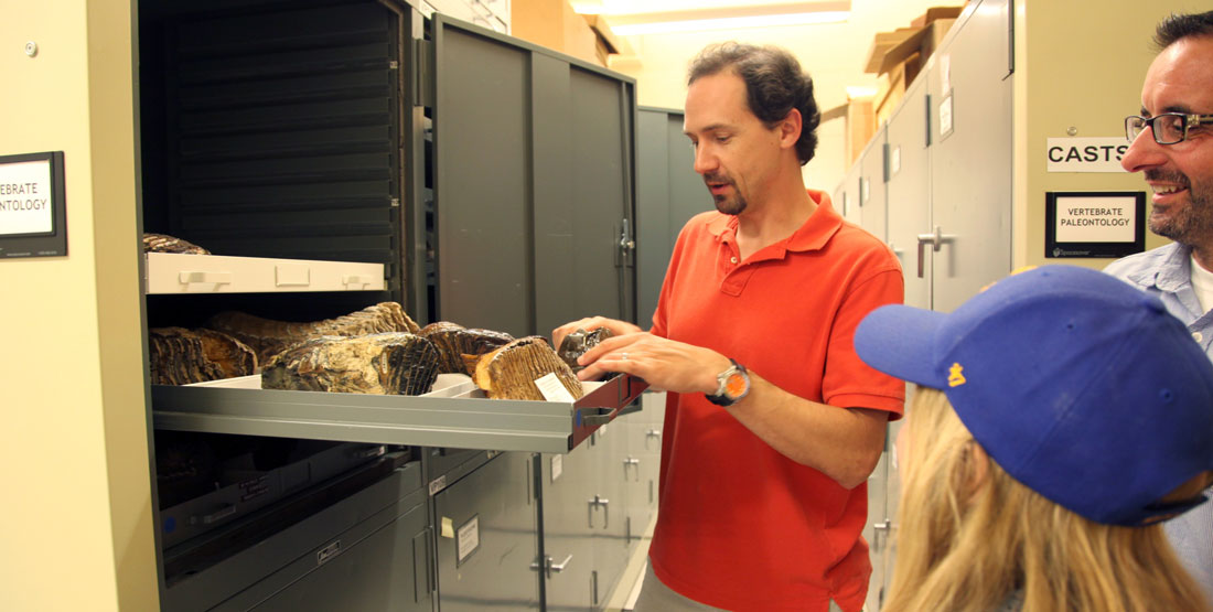 A scientist opens a drawer containing many mammoth tooth specimens while a girl and her father look on