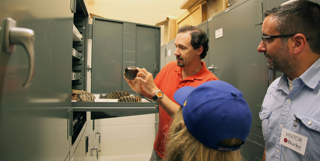 A scientist shows a mammoth tooth from a drawer to a girl and her father