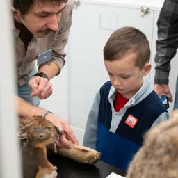 kid looks at squirrel specimen