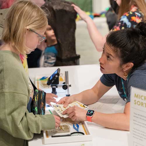 volunteer interacts with a visitor at Dino Fest at the Burke Museum