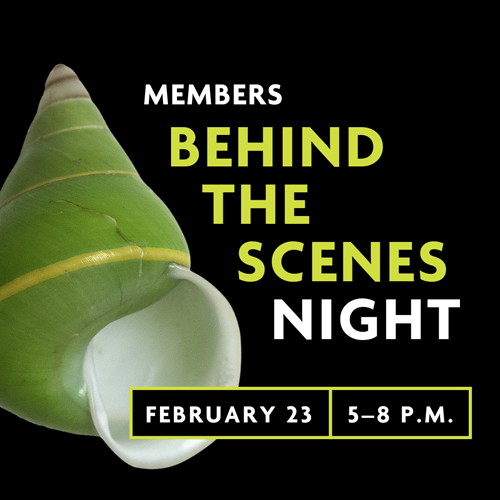 members behind the scenes night