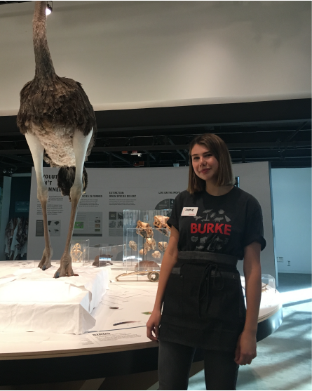 Sophie Muro in the biology exhibit at the Burke Museum