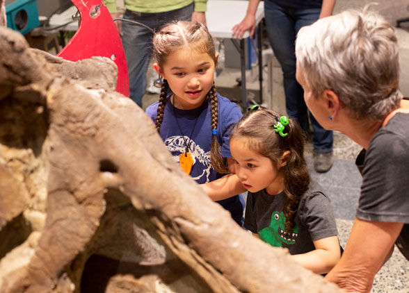 two young girls look closely at a tyrannosaurus rex skull as a volunteer points out details to them