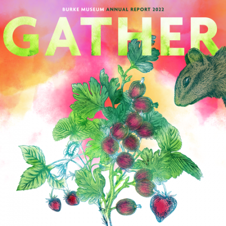 GATHER burke museum annual report 2022