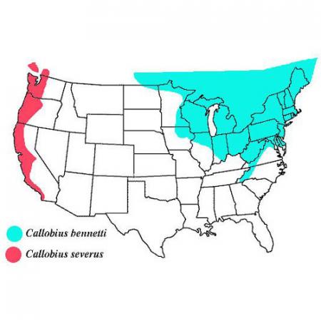 map of the u.s. with the west coast and northern part of the mid-west represented by colors