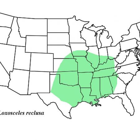 A map showing the location of brown recluse bites