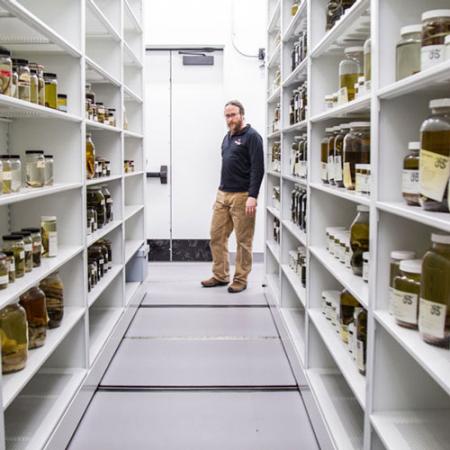a man stands at the end of a row of shelves with museum specimens in jars