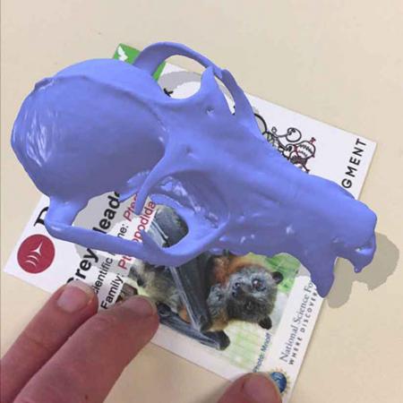 a 3D augmented reality skull appears on top of a Pocket Bats card