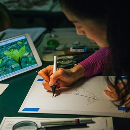 a young woman illustrates a plant for the new book