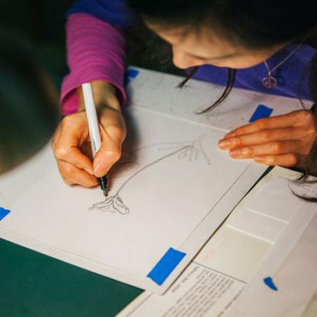 An illustrator draws a plant