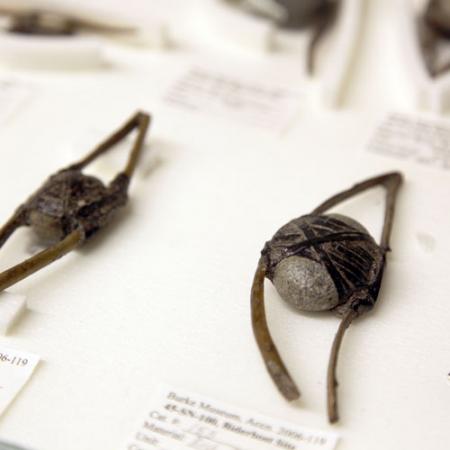 two small net weights--round stones wrapped in wood fragments