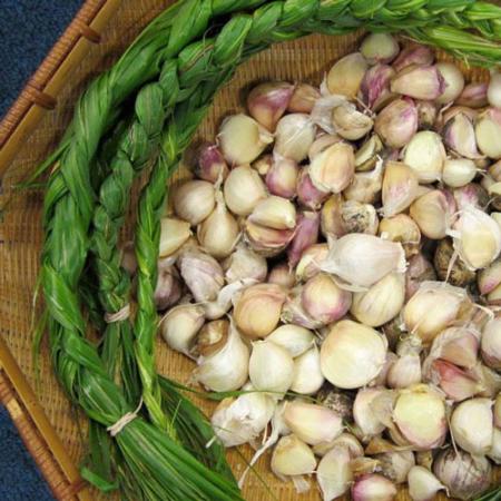 close up of wild onions and garlic in a basket