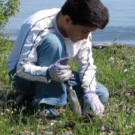 a boy harvests wild onions