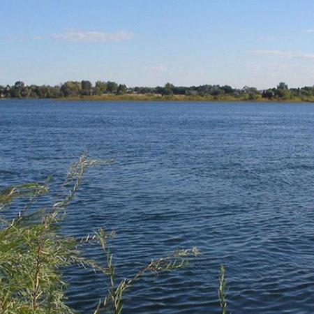 A view across a large river to see trees on the other side 