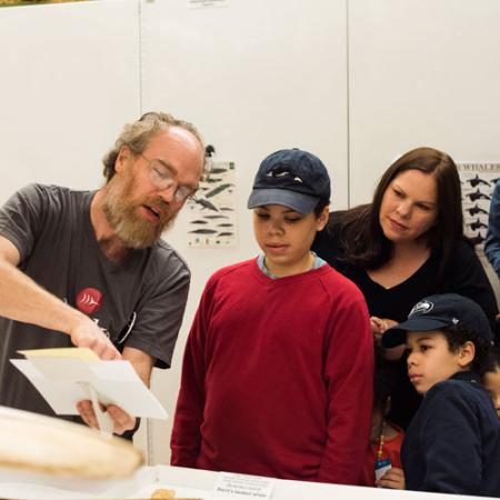 visitors learn about a mammal specimen