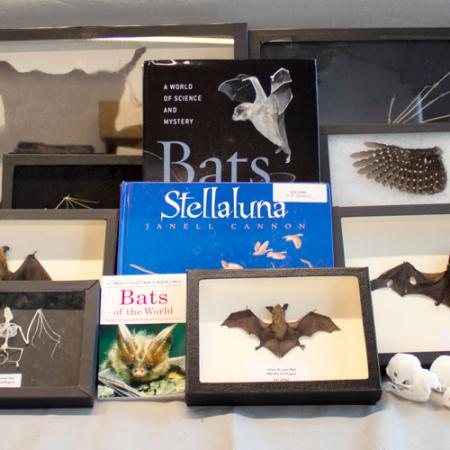 bats burke box content
