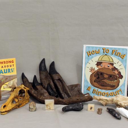 contents of dinosaur box