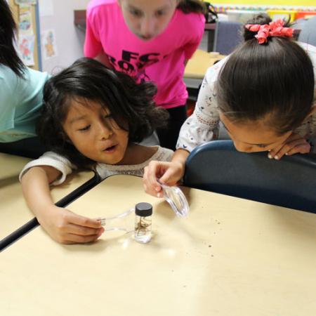 kids looking through magnifying glasses