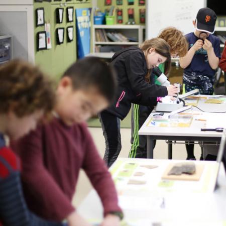 students look at microfossils